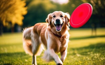 Jakie zabawy na świeżym powietrzu sprawią dzieciom najwięcej radości?