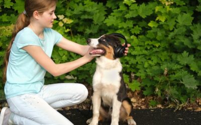 Jak aktywnie spędzać czas z psem na świeżym powietrzu?