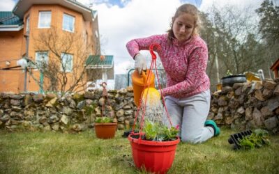 Jak stworzyć mały ogródek przed domem i odmienić wygląd posesji?