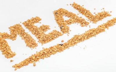 Płatki owsiane zwykłe górskie czy błyskawiczne co wybrać do codziennego śniadania?